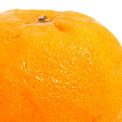 minneola