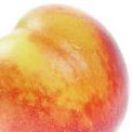 nectarine