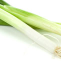 lenteui