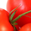 tomaten